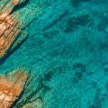 Celebrem la Setmana dels Oceans 2026